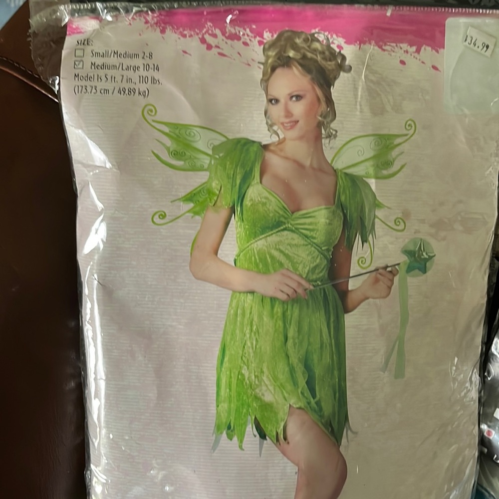 Neverland fairy costume